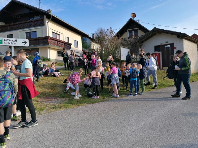 TD: Sela in Vrh - foto