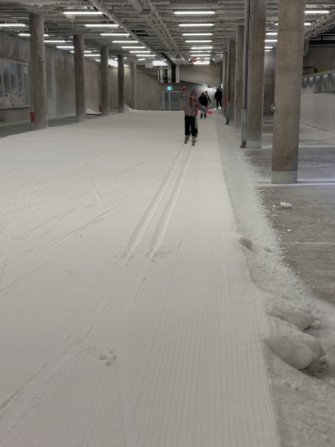 Šola v naravi Planica 2025 - foto