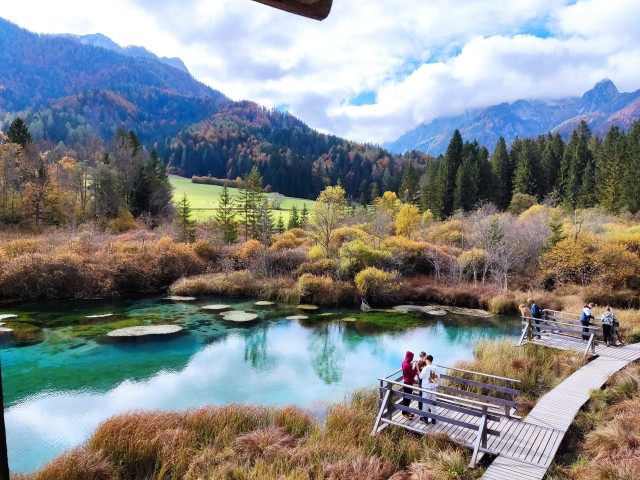Šola v naravi Planica 2025 - foto