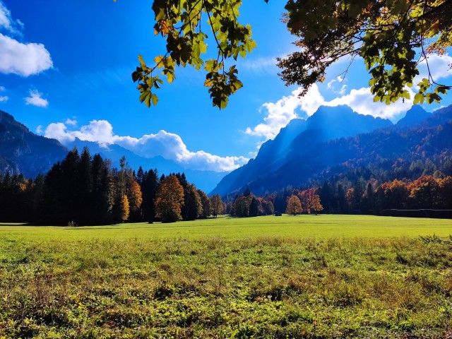 Šola v naravi Planica 2025 - foto