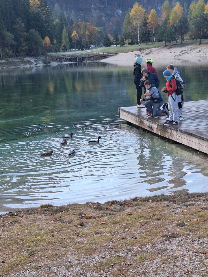 Šola v naravi Planica 2025 - foto povečava