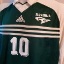 Slovenia Jersey