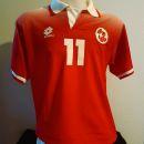 Stéphane Chapuisat - Schweiz Trikot