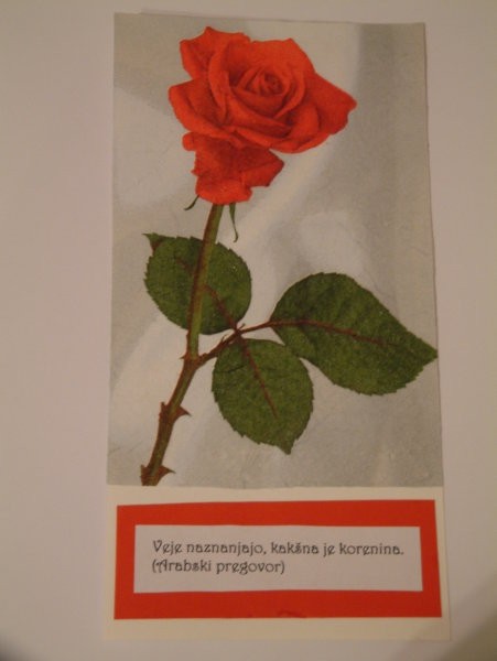 Vrtnica na belem kartonu, spodaj pa verz na rdečem kartonu ... 