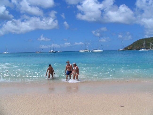 Psiček za oddajo - foto povečava