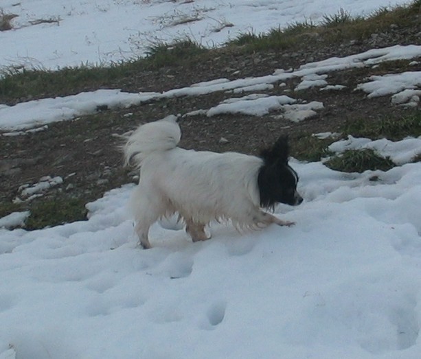 Zima2005 - foto