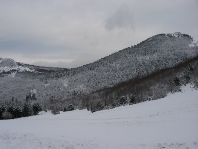 MAŠUN 02.01.06. - foto povečava