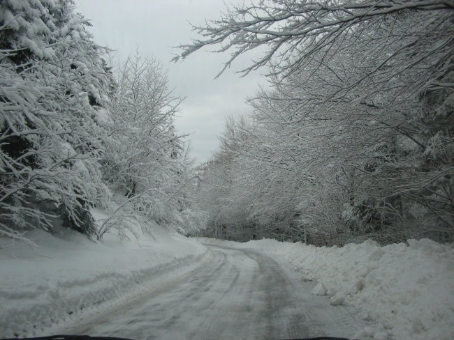 MAŠUN 02.01.06. - foto povečava