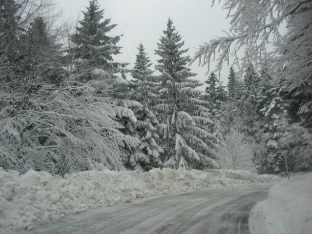 MAŠUN 02.01.06. - foto