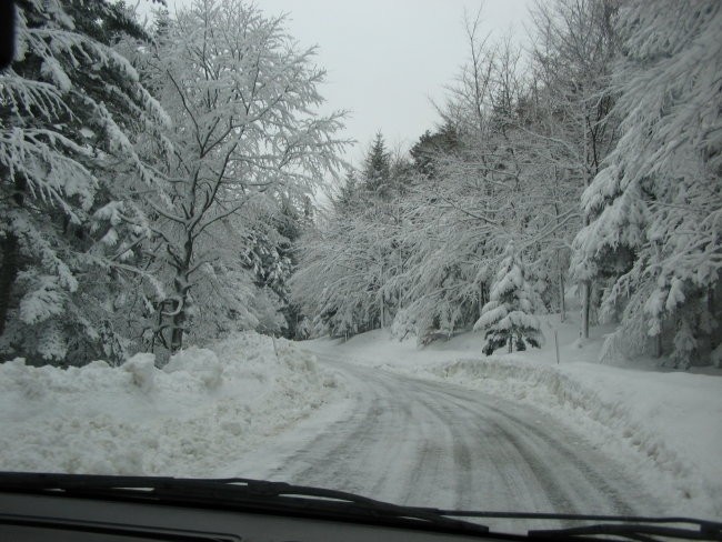 MAŠUN 02.01.06. - foto povečava