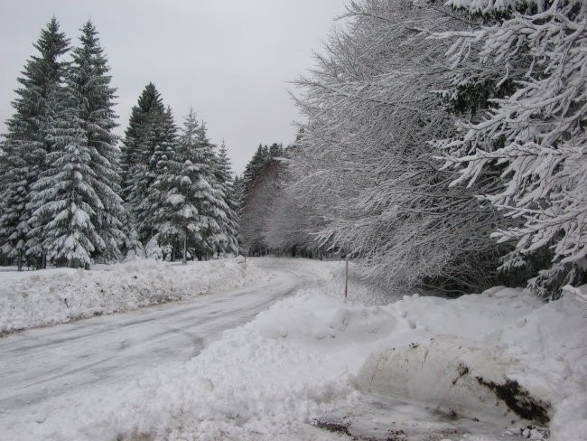 MAŠUN 02.01.06. - foto povečava