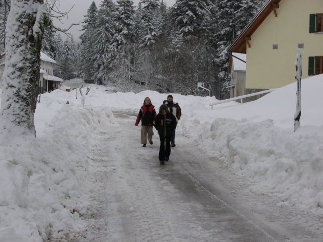 MAŠUN 02.01.06. - foto povečava