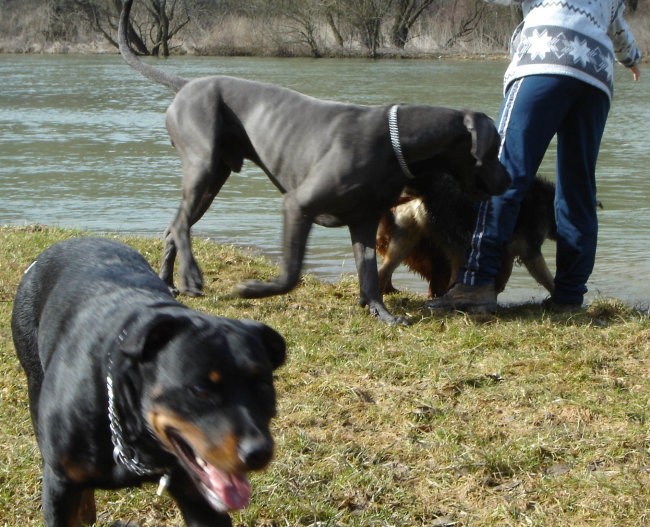 Otočec 20.03.2005 - foto povečava