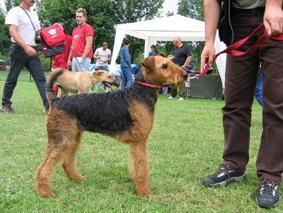 Cac Maribor 2005 - foto