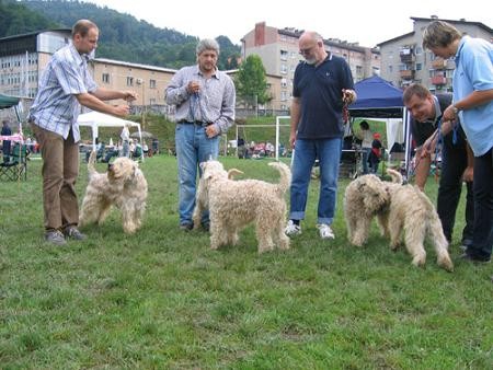 Cac Trbovlje - foto