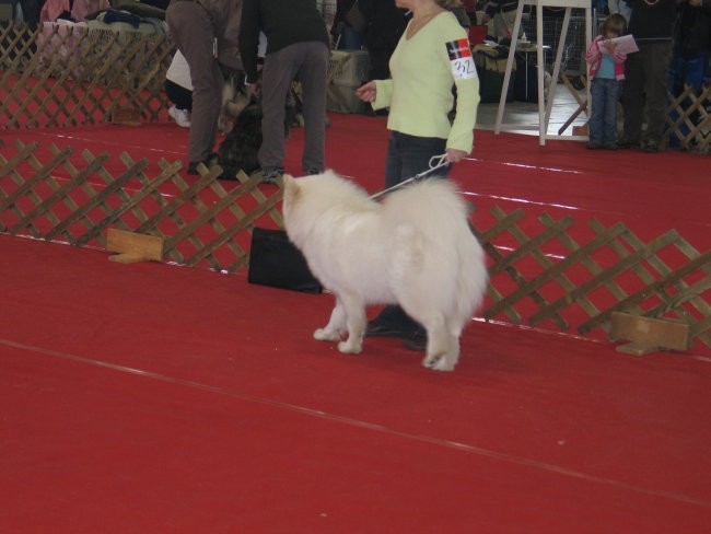 CAC Celje 2007 - foto povečava