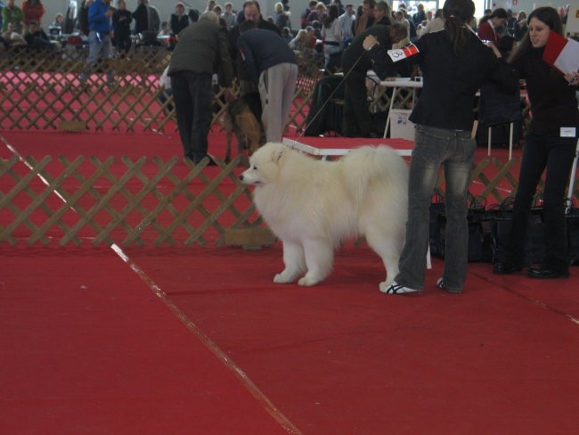 CAC Celje 2007 - foto povečava