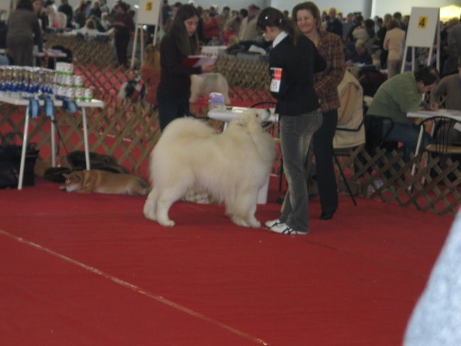 CAC Celje 2007 - foto povečava