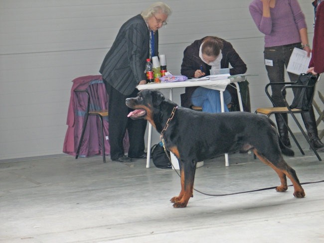 CAC Celje 2007 - foto povečava