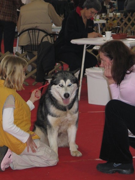 CAC Celje 2007 - foto