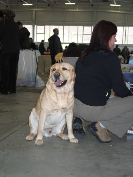 CAC Celje 2007 - foto