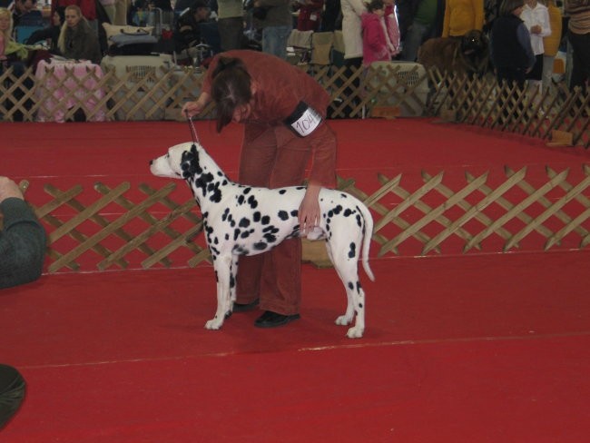 CAC Celje 2007 - foto povečava