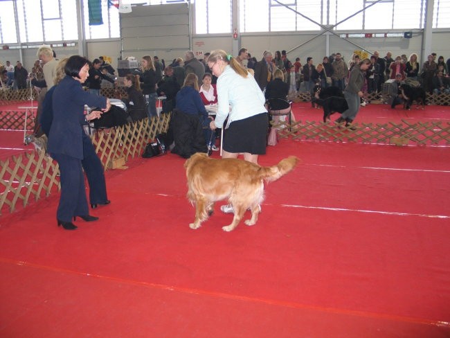 CAC Celje 2007 - foto povečava