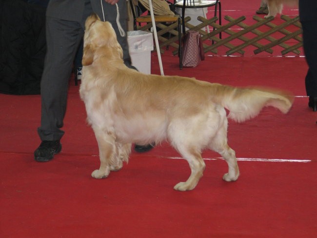 CAC Celje 2007 - foto povečava