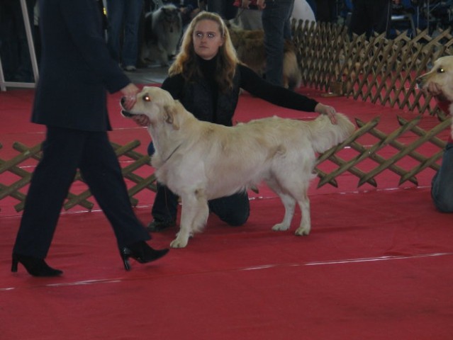 CAC Celje 2007 - foto