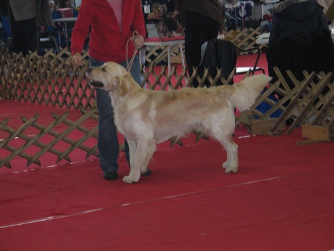 CAC Celje 2007 - foto povečava