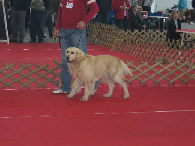 CAC Celje 2007 - foto povečava