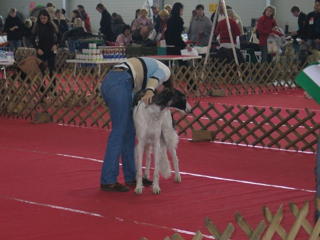 CAC Celje 2007 - foto povečava