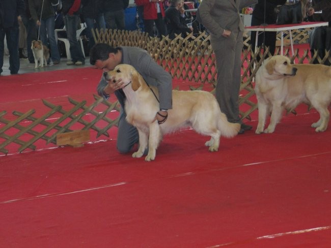 CAC Celje 2007 - foto povečava