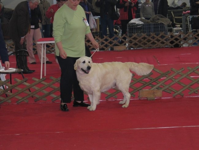 CAC Celje 2007 - foto povečava