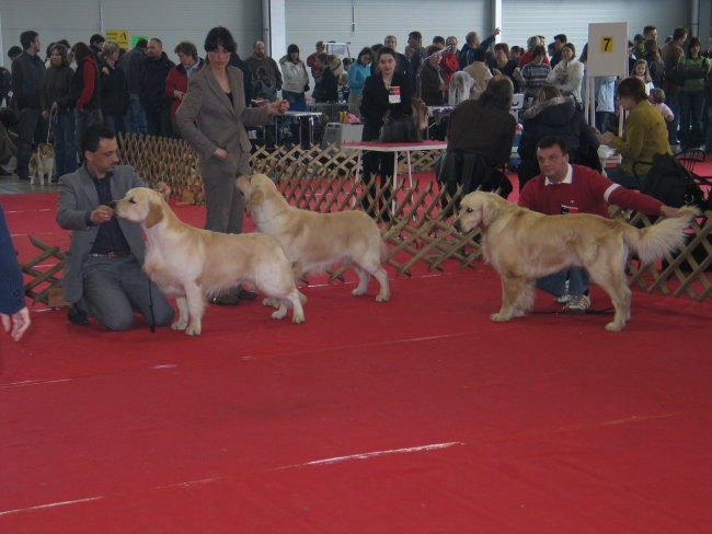 CAC Celje 2007 - foto povečava