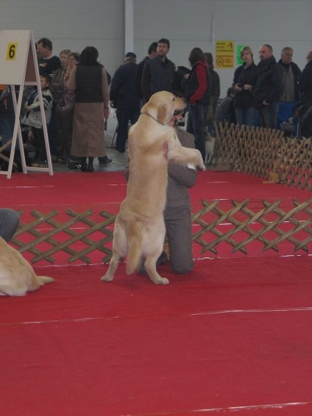 CAC Celje 2007 - foto povečava