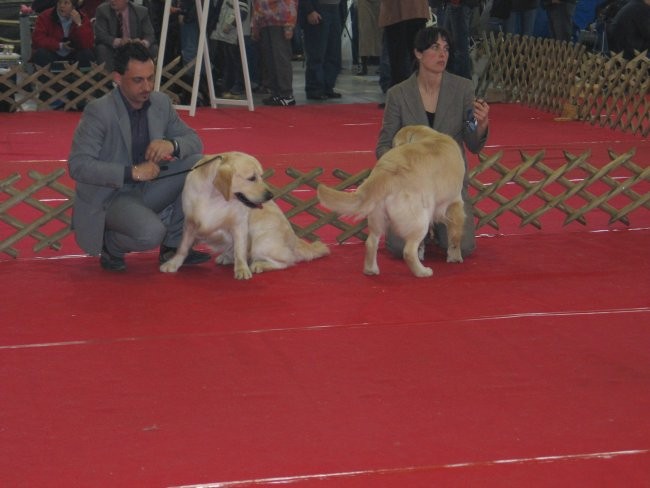 CAC Celje 2007 - foto povečava