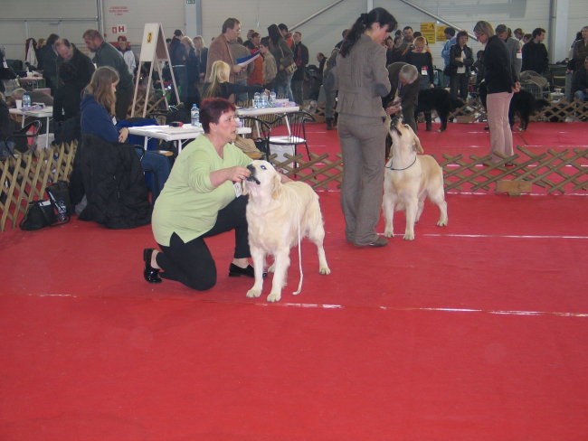 CAC Celje 2007 - foto povečava