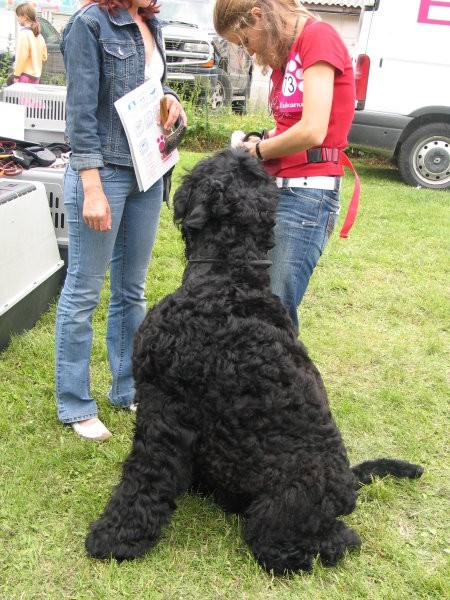 CAC Hrušica 2007 - foto