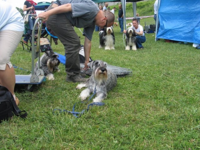 CAC Hrušica 2007 - foto