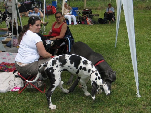 CAC Hrušica 2007 - foto