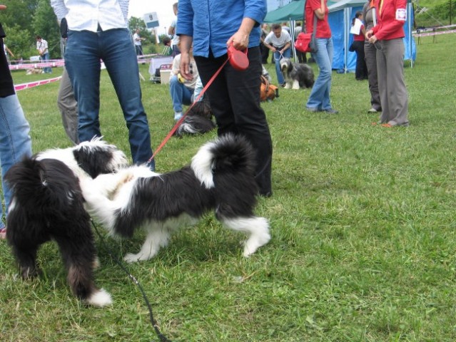 CAC Hrušica 2007 - foto