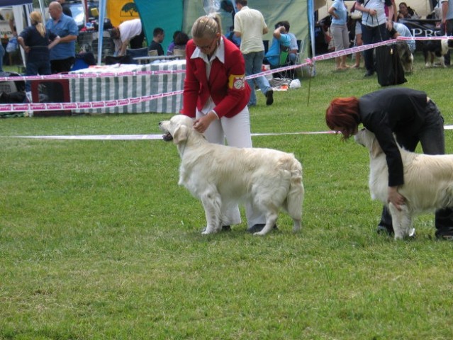 CAC Hrušica 2007 - foto