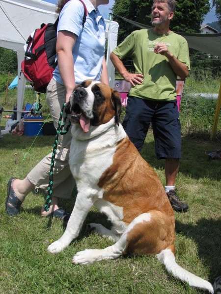 CAC Hrušica 2007 - foto povečava