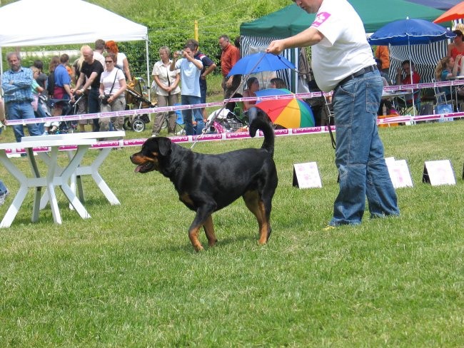 CAC Hrušica 2007 - foto povečava