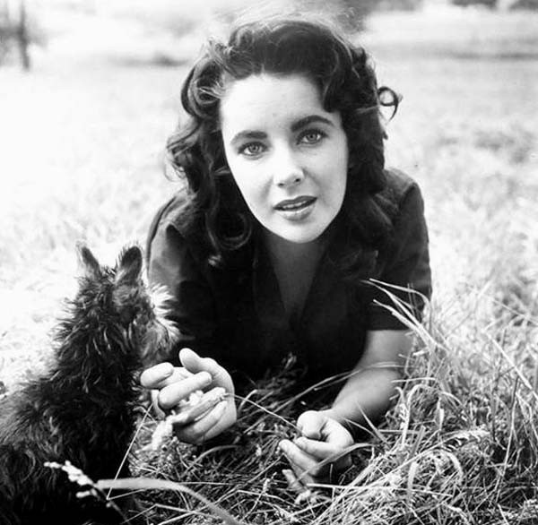 Elizabeth Taylor - foto