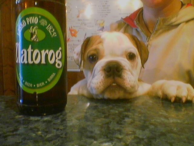 Domači kraji - foto povečava