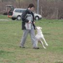Poleg