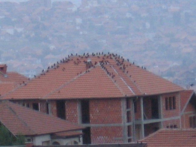 Stanovanje Kosovo - foto povečava