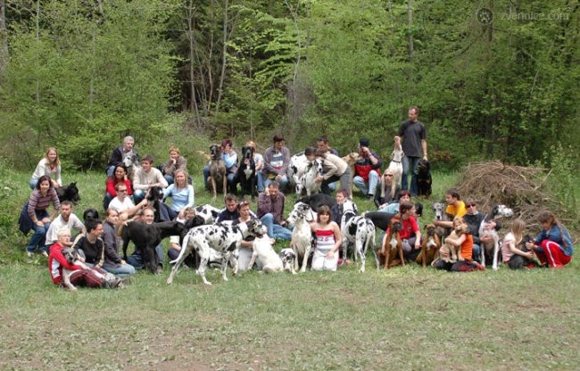 Doga piknik 2005 - foto povečava